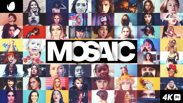 Mosaic Picture Wall for Premiere Pro