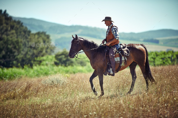 Yeeha. Side view of a cowboy on his horse. Stock Photo by ...