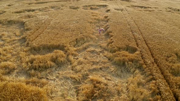 Aerial view young lady running in agricultural wheat field. Shawl fluttering in wind. Harvest Sunset
