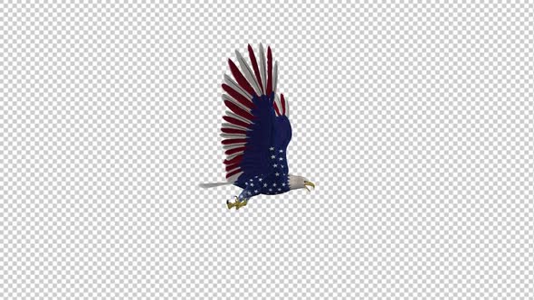 American Eagle - USA Flag - Flying Loop - Side View alt