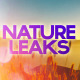 Nature Leaks - VideoHive Item for Sale