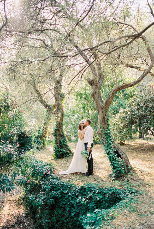Groom hugs and kisses bride standing in the park among the trees overgrown with ivy