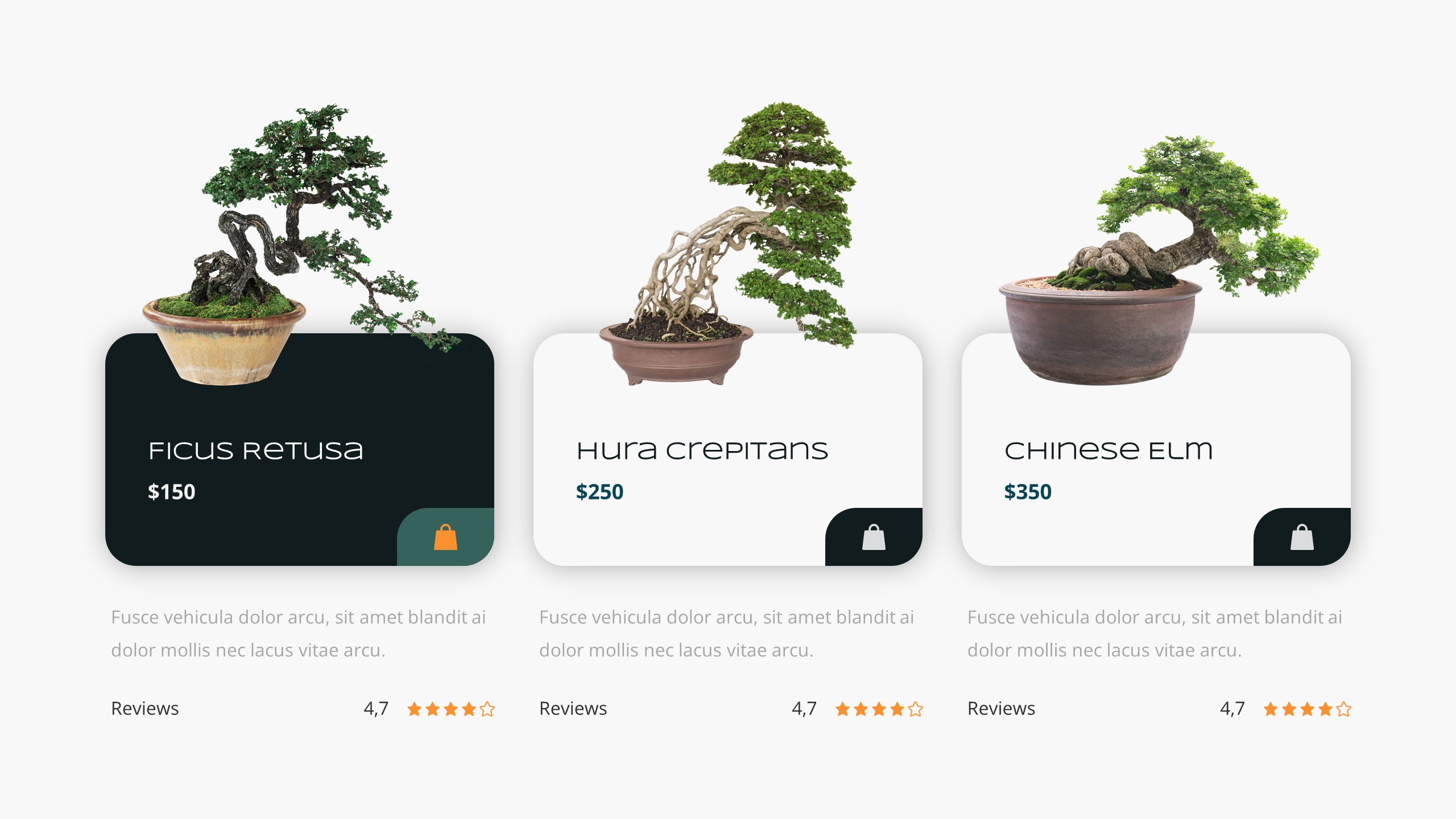 Bonsai Tree & Garden Keynote Template, Presentation Templates