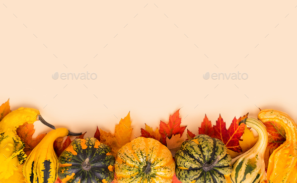 Decorative pumpkins and autumn leaves with copy space.