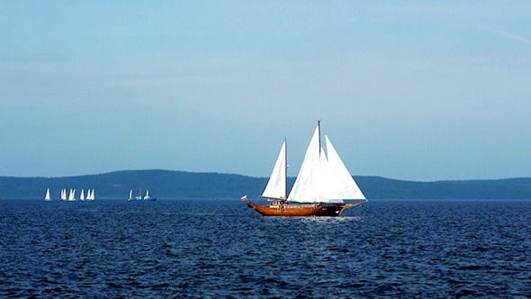 Yacht Race On The Sea