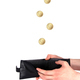Coins falling into the purse - PhotoDune Item for Sale
