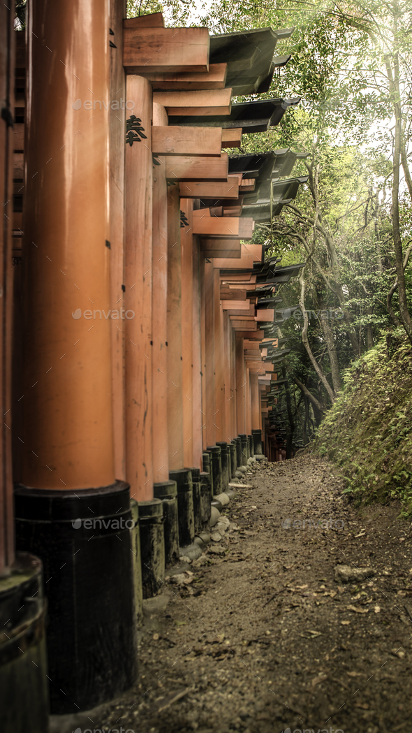 Beautiful landscape sunlight with red tori gates at Fushimi Inari Taisha shrine