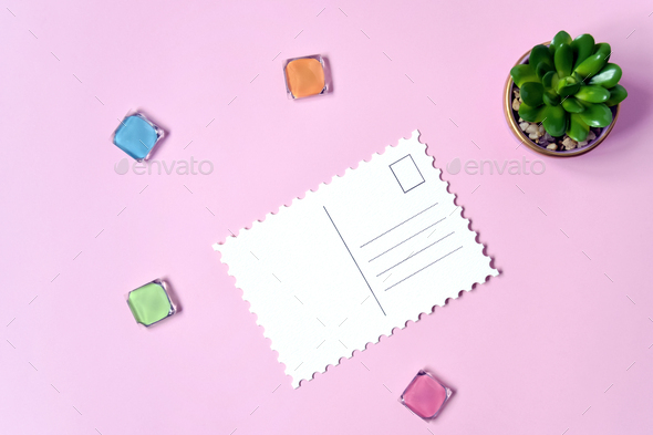 Blank postcard and small succulent plant on pink background, empty postcards, postcrossing.