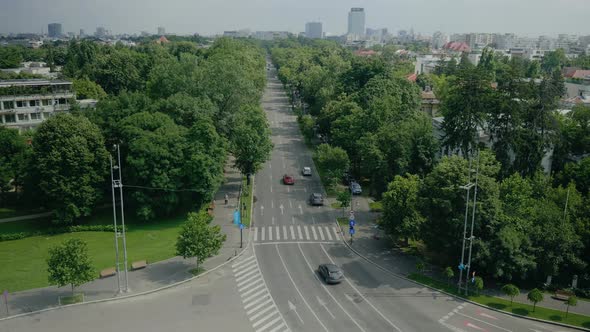 Urban Scene From Sky Tower Roof of Modern City alt