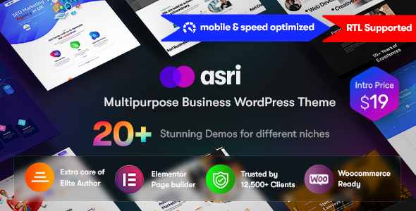 Asri - One page Consulting Business WP Theme