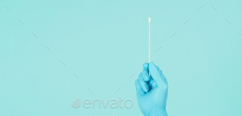 One Cotton stick  in hand with blue  latex glove on mint green background.