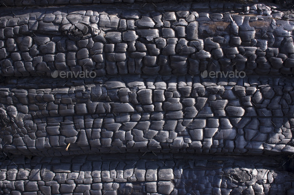 Natural fire ashes with dark grey black coals texture. It is a flammable black hard rock. copyspace
