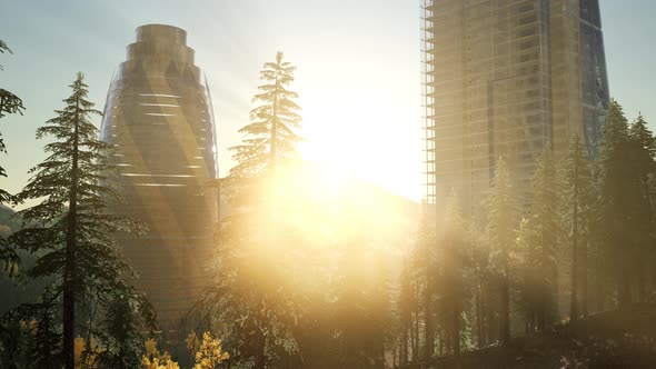 City Skyline with Urban Skyscrapers at Sunset alt