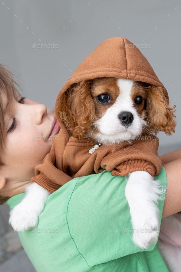 Boy with puppy wearing a brown hoodie. Autumn and winter clothes for pets. Cavalier King Charles