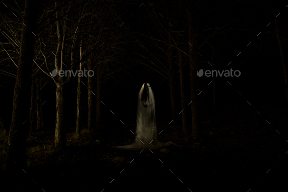 Ghost In The Dark Forest Stock Photo By Luisbaneres 