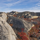 Bare Rock and Fall Colors in the Arctic - PhotoDune Item for Sale