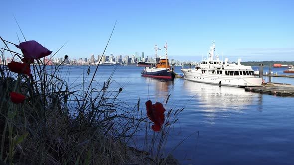 Vancouver Waterfront - North Shore - Boats and Plants