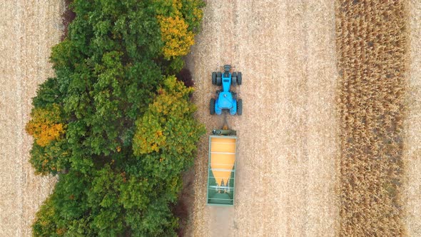 Aerial Shot of Tractor Transporting Corn Cargo Along Field. Flying Over Agricultural Machine Driving alt