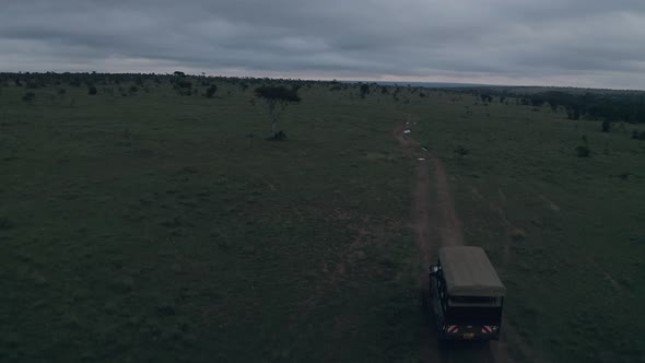 Safari game drive at dawn in Laikipia, Kenya, Africa. Aerial drone view follow alt