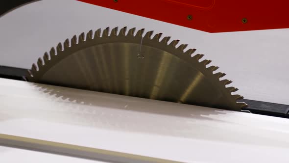 Circular Saw for Sawing Wood and Chipboard Products