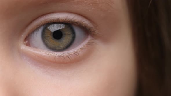 Eye of Child Looking the Camera. Extreme Close-Up. Stare at Something. Children's Emotions. Children alt