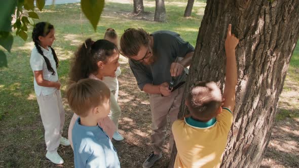 Teacher and Group of Kids Looking Closely at Tree Bark alt