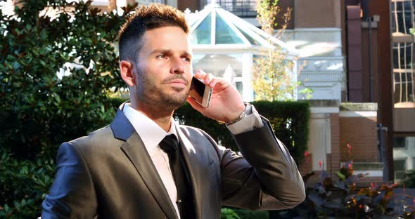 Businessman talking on mobile phone alt