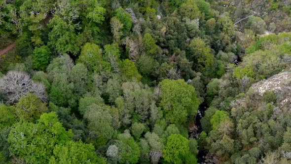 Aerial Flying Over Forest Tree Tops Near Fervenza do Toxa Waterfalls. Dolly Right alt