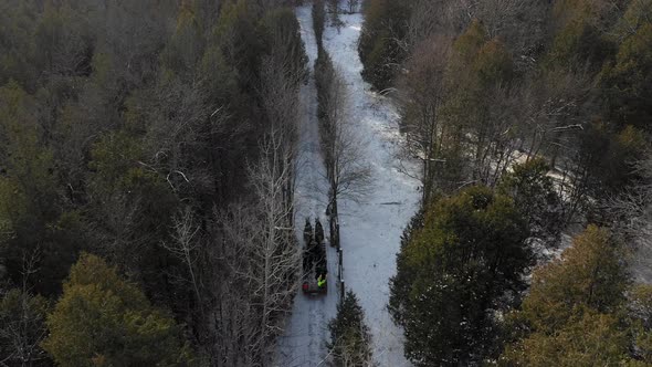 horse drawn sleigh pulling people through the forest at christmas rear follow angle alt