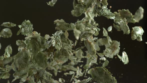 Hops in super slow motion.  Shot on Phantom Flex 4K high speed camera.