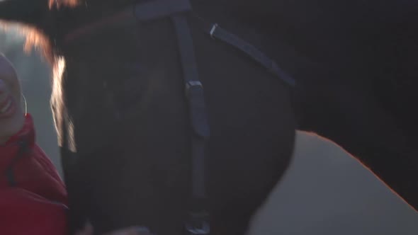 Horsewoman Holds the Reins and Strokes the Brown Stallion alt