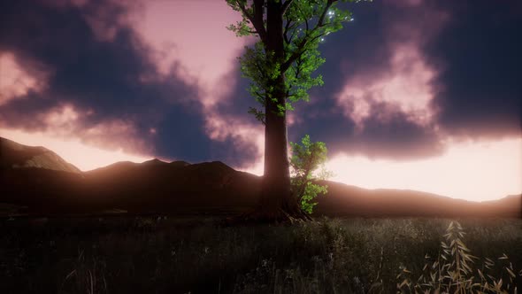 Aerial Green Hills Landscape in Fog alt