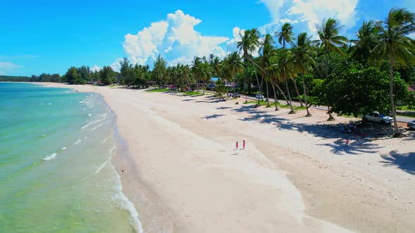 Drone flying at the tropical white beach with coconut trees alt