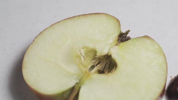 The Cockroach Climbed Onto the Half of the Apple and Eats It