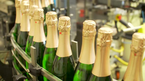 Champagne Bottles on Factory Conveyor Belt alt