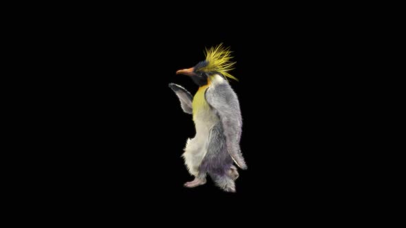 Penguin Dancing HD alt