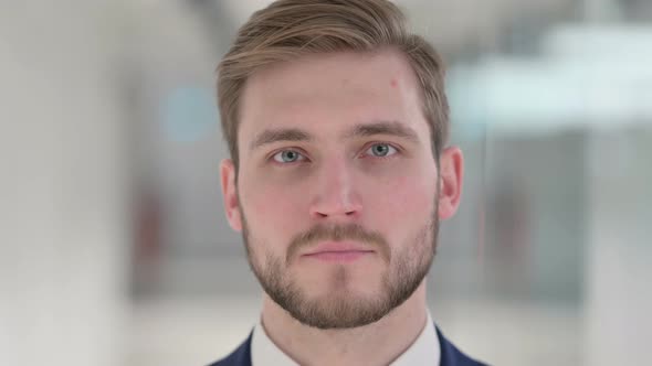Close Up of Face of Young Businessman Looking at the Camera alt