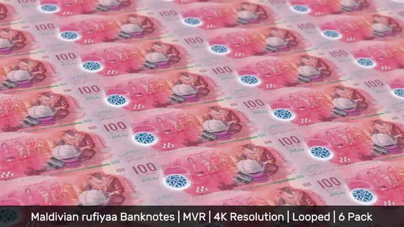 Maldives Banknotes Money / Maldivian rufiyaa / Currency Rf / MVR / 6 Pack - 4K alt