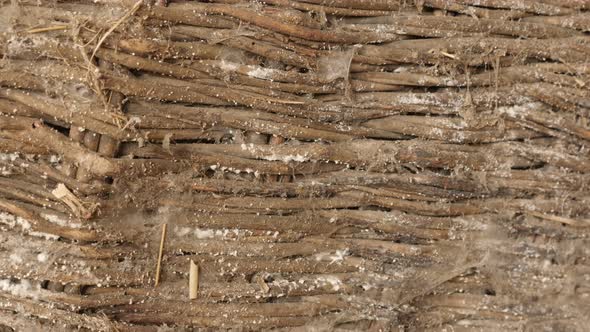 Abandoned   wicker basket texture slow tilt 4K 2160p 30fps UltraHD footage - Old coiled container de alt