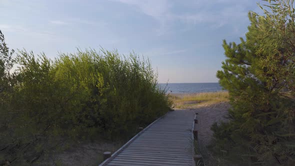 Summer on the sandy Baltic beach