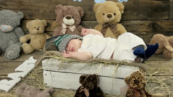 Sleeping Child and Teddybears. alt