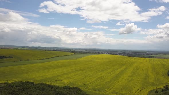 Aerial view of green farming field with fresh vegetation in spring. alt