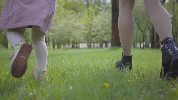 Legs of Young Mother and Little Girl Running in the Park on the Green Grass Holding Hands Close Up alt