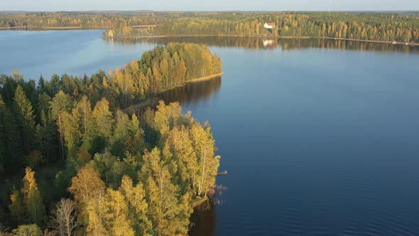 The Long Lines of the Trees on the Side of Lake Saimaa