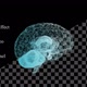 Holographic 3D Brain - VideoHive Item for Sale