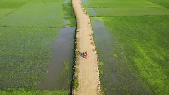 Aerial view of people walking in field, Bangladesh. alt