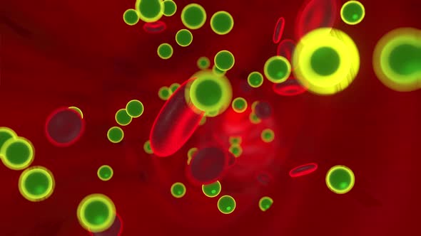 3D Animation of Nutrients flowing in the blood stream
