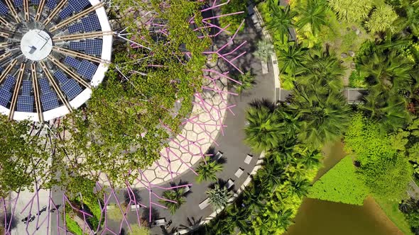 Aerial Fly-Over View of Supertree Grove, Gardens by the Bay, Singapore
