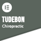 Tudebon - Chiropractic & Physiotherapy Elementor Template Kit