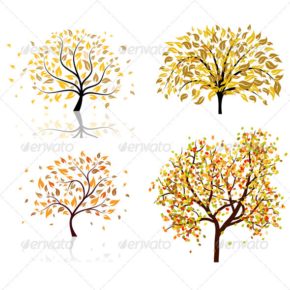 Set of Four Autumn Trees - Seasons Nature